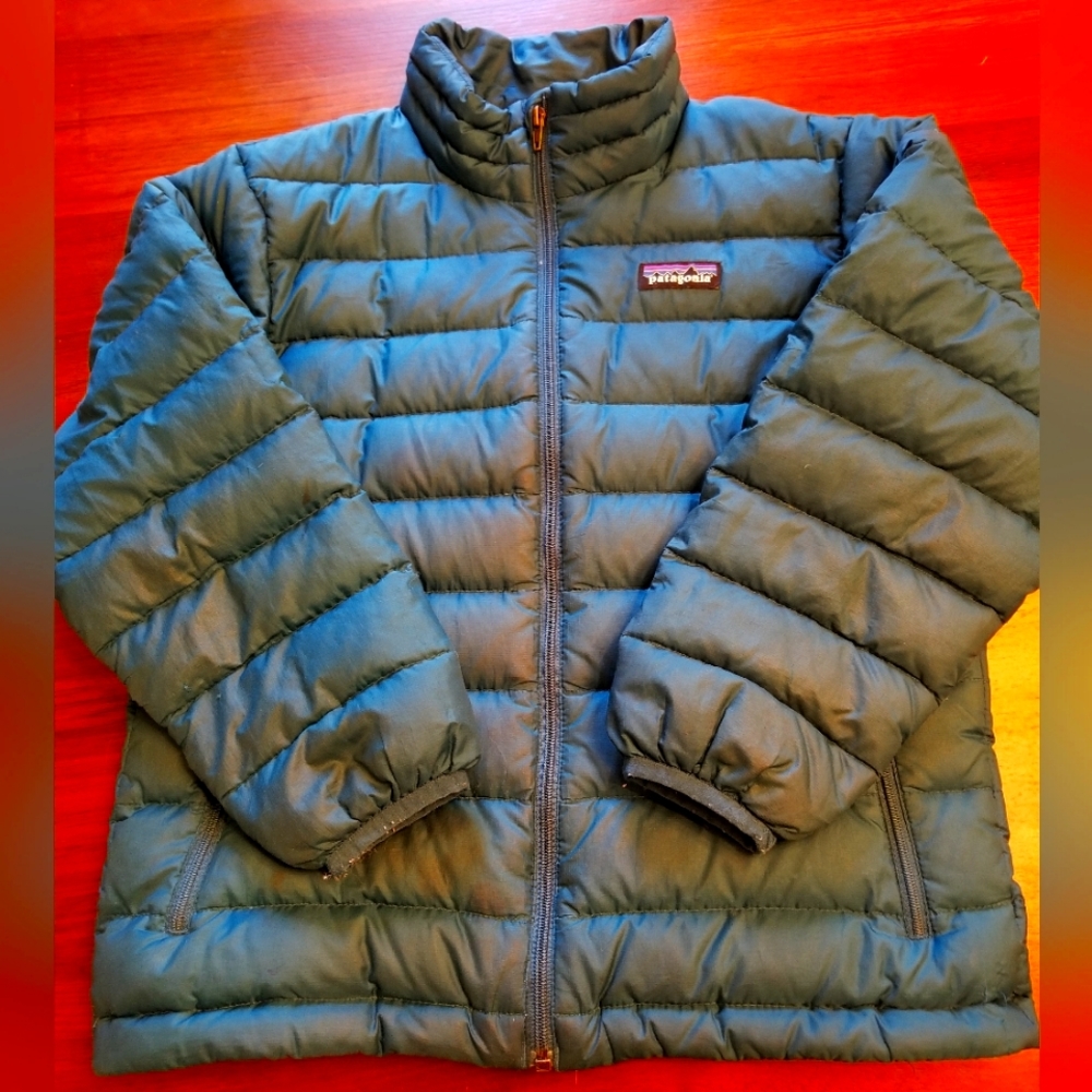 Patagonia Down Coat